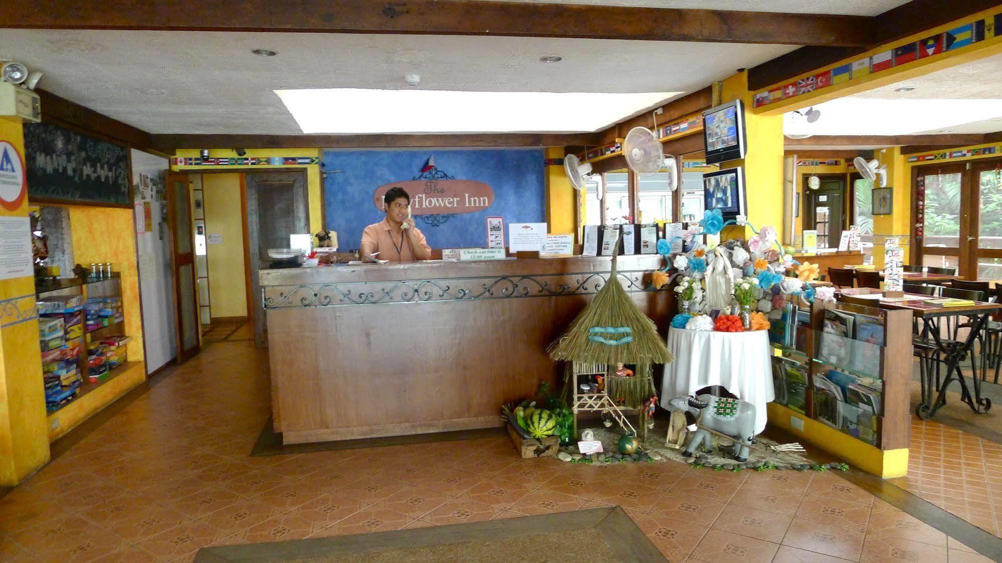 The Mayflower Inn 宿务 外观 照片