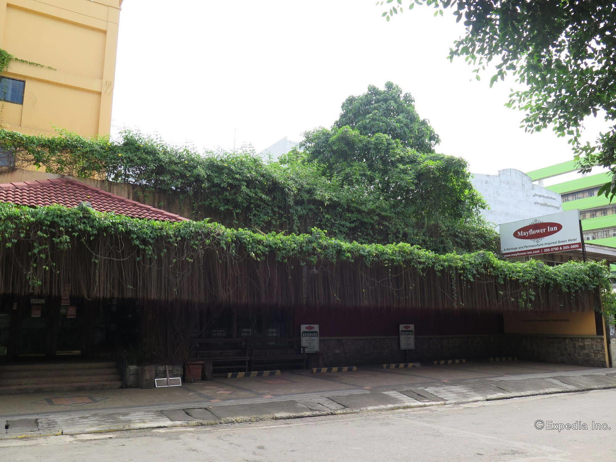 The Mayflower Inn 宿务 外观 照片