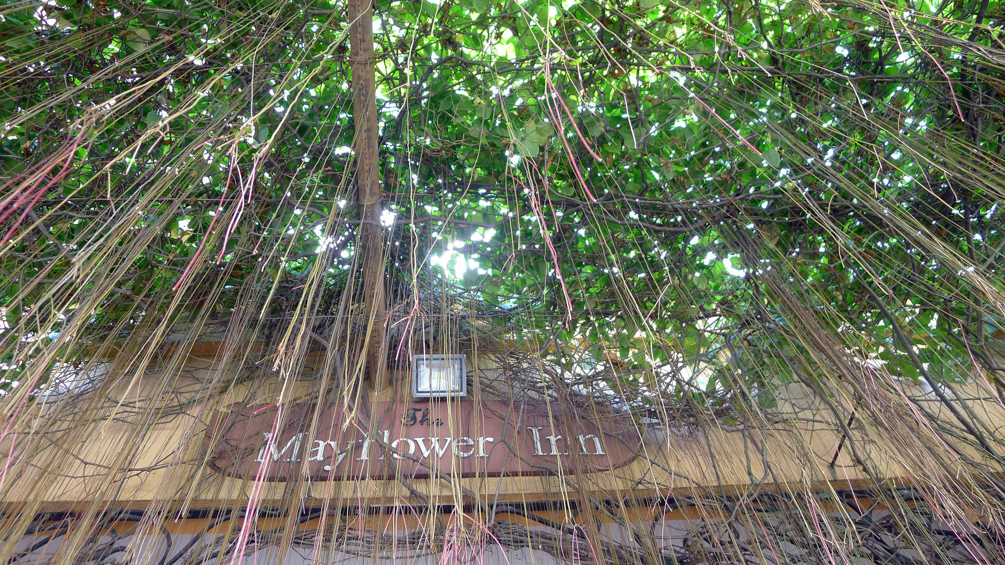The Mayflower Inn 宿务 外观 照片